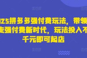 2025拼多多强付费玩法，带领全网走强付费新时代，玩法投入不超千元即可起店
