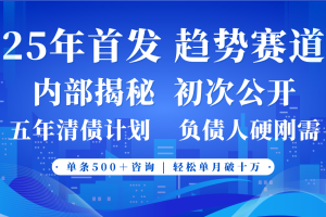 2025年首次公开，真正的事业型赛道，客咨不断，单月轻松破十