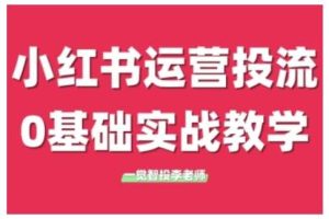 小红书运营投流，小红书广告投放从0到1的实战课，学完即可开始投放（更新）