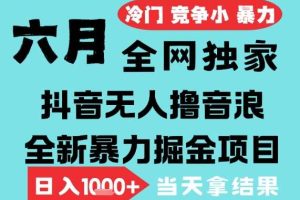 2025年6月高爆抖音无人直播最新撸音浪掘金项目，无脑日入1k+，低门槛小白可做，可矩阵放大【揭秘】
