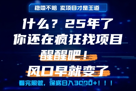 什么？25年你还在疯狂找项目做，醒醒吧，看完这些你全都懂了！【揭秘】
