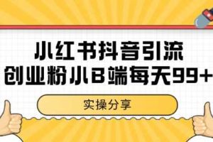 小红书抖音创业粉，小B端粉自热 日引99+的一个玩法【揭秘】