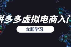 拼多多虚拟电商入门，精准选品方法论，无货源模式起盘技巧