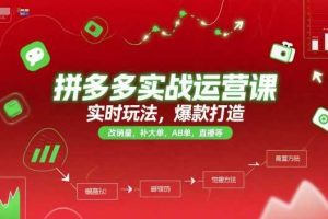 拼多多实战运营课，实时玩法，爆款打造，改销量，补大单，AB单，直播等（更新2025月）