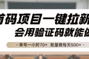 首码项目一键拉新，会用验证码就能做 单号一小时70+，批量做每天5张【揭秘】