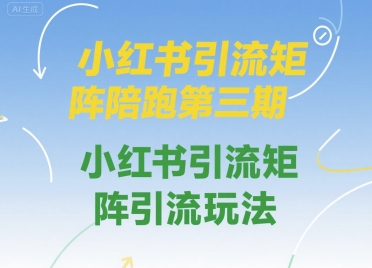 小红书引流矩阵陪跑第三期，小红书引流矩阵引流玩法