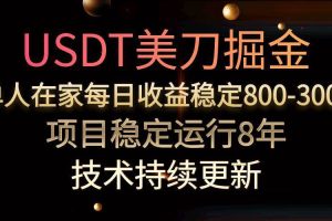 （15527期）USDT美刀掘金，单人每日收益800-3000，稳定运行8年
