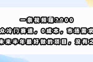 一条视频挣1k，小众冷门赛道，0成本，市场需求大，是未来半年最好做的项目，没有之一