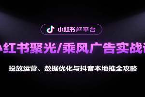 小红书聚光/乘风广告实战课：投放运营、数据优化与抖音本地推全攻略