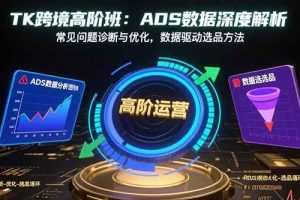 （15809期）TK跨境高阶班：ADS数据深度解析，常见问题诊断与优化，数据驱动选品方法
