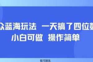 小众蓝海玩法 一天搞了四位数 小白可做 操作简单