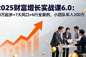 （16004期）2025财富增长实战课6.0：10万起步+7大风口+6行业案例，小团队年入200万