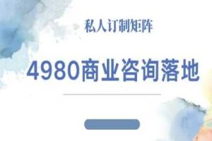 4980商业咨询师落地课程-ip运营高客单教程