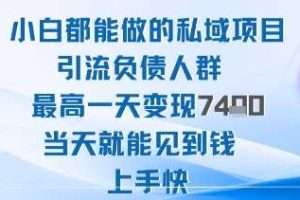 2025年小白都能做的私域项目引流负债人群最高一天变现1k+高变现难度低当天就能见到钱上手快