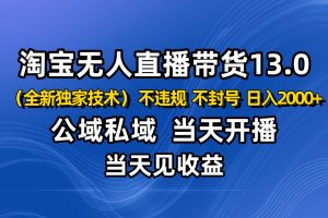 淘宝无人直播13.0，公域私域技术，不封号，不违规 布局下半年旺季赛道，日入2000+