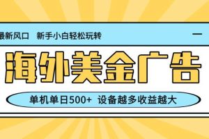 （16454期）最新蓝海项目，海外美金广告，单机单日500+，可矩阵放大，设备越多收益…