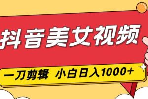 (16873期)抖音美女视频,一刀不剪,两分钟一条视频,小白轻松上手,日入1000