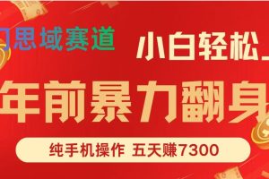年前爆火项目,5天赚了7300