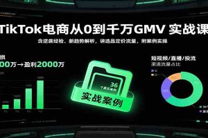 TikTok电商从0到千万GMV实战课,含逆袭经验、新趋势解析,讲选品定价流量等(更新)