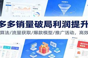 拼多多销量破局利润提升课:权重算法/流量获取/爆款模型/推广活动,高效盈利