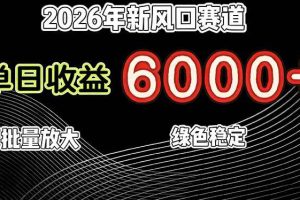 (17135期)2026年新风口赛道,当日6000+以上,可批量放大,月收入20万+,长期绿色稳定的项目