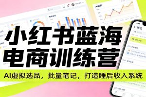 小红书蓝海电商训练营:AI虚拟选品,批量笔记,打造睡后收入系统