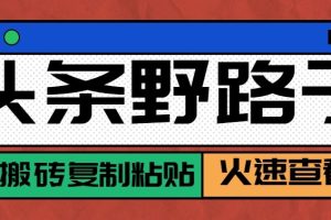 头条单账号日收益300+野路子玩法赛道,无脑搬砖复制粘贴,保姆级教程