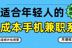 零成本手机兼职系列,长期稳定碎片化经营,月增收3000+