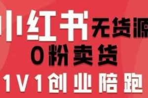 小红书无货源0粉电商课，开店准备、选品策略、笔记撰写、视频剪辑、数据分析、账号打造、资料文档（更新26年3月）