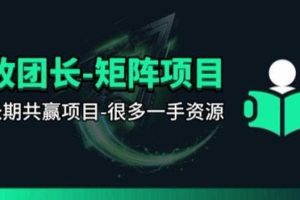 【团长合作】视频矩阵项目_招发手矩阵+剪辑师,共赢项目【揭秘】