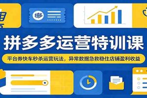拼多多运营特训课:平台券快车秒杀运营玩法,异常数据急救稳住店铺盈利收益