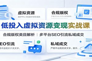低投入虚拟资源变现实战课:合规版权类目解析,多平台SEO引流私域成交