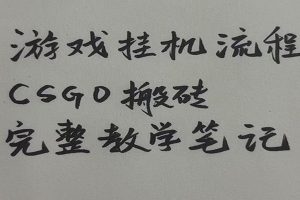 游戏挂机全流程笔记分享，CSGO游戏搬砖，小白看了当天学会见收益