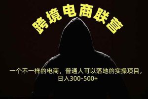 (20702期)跨境电商联营,一个不一样的电商,普通人可操作日入300-500+